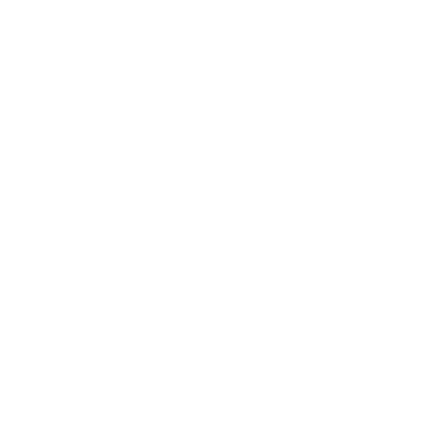 Logo Leissner Data 50 years