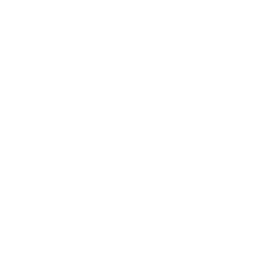 Logo Leissner Data 55 years